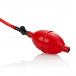 plug anal extensible