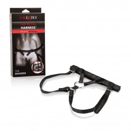 Her Royal Harness the...