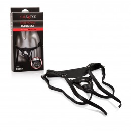 Her Royal Harness the Queen...