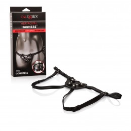 Her Royal Harness the...