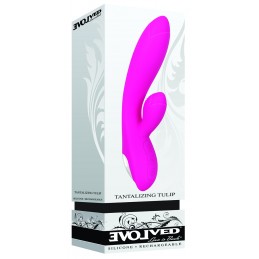 Tulipe envoûtante