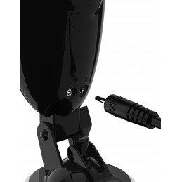 Pdx Elite Dirty Talk...