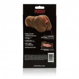 Caresses-la chatte - Brune