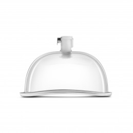 Temptasia – Vulva Cup - Clear