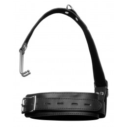 Collier pour chienne avec...