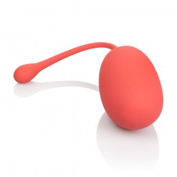 Kit d'entraînement Kegel...