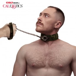 Collier et laisse...