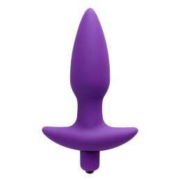 Aria Plug anal vibrant en...