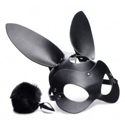 Ensemble plug anal et...