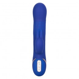 Jack Rabbit Signature...