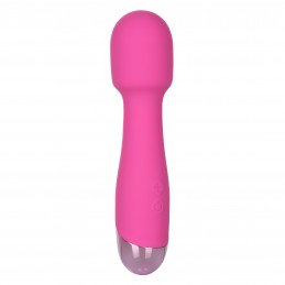 Mini Miracle Massager...
