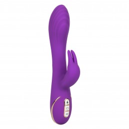 Jack Rabbit Signature G...