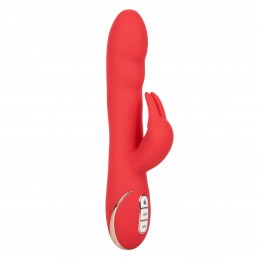 Lapin en silicone...