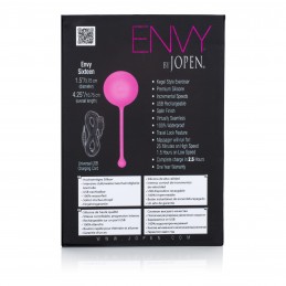 Envy Sixteen - Rose