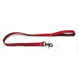 Laisse en cuir rouge