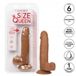 Taille Queen 6 pouces/15,25...