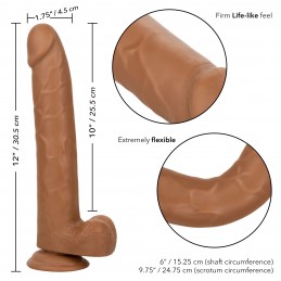 Taille Queen 25,5 cm (10...