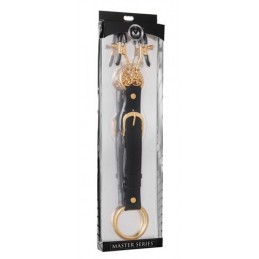 Penitentiary Nipple Clamps...