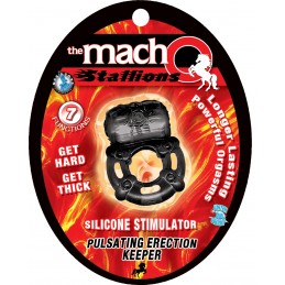 The Macho Stallions...