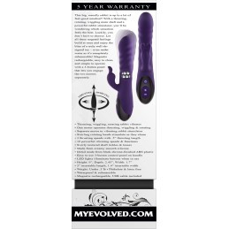 Lapin coquin - Violet