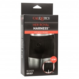 Her Royal Harness Boxer...