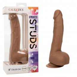 Clous d'oreilles en...