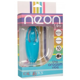 Neon Vibes - the Orgasm...