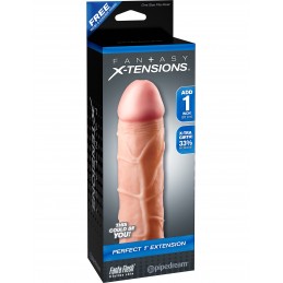 Extension Fantasy X-Tension...