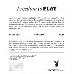 Playboy Pleasure - Le Trio...
