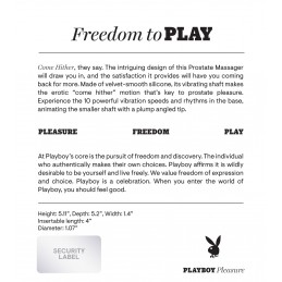 Playboy Pleasure - Come...