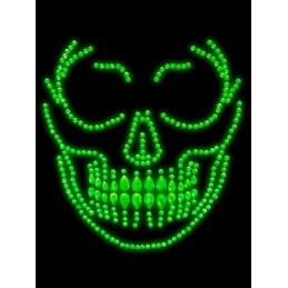 Glow in the Dark Skull Face...