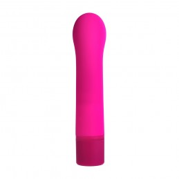 Paradis G - Rose