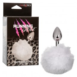 Lapin sauvage courant - Blanc