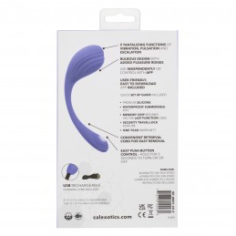 Calexotics Connect Kegel...