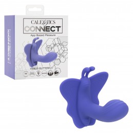 Calexotics Connect Venus...