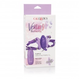 Papillon Vénus 2 - Violet