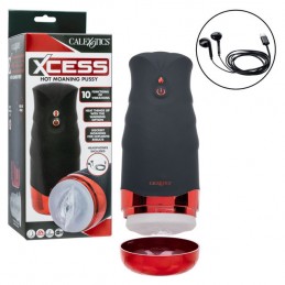 Chatte gémissante Xcess Hot...