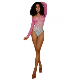 Ombre Net Bodystocking - Os...