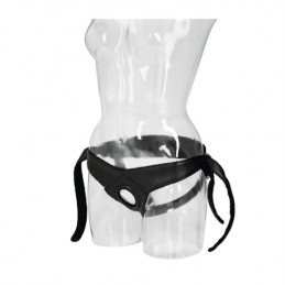 Universal Love Rider...