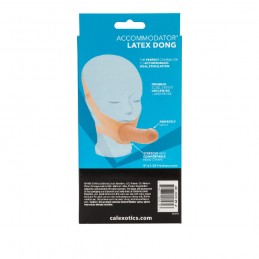 The Original Accommodator...