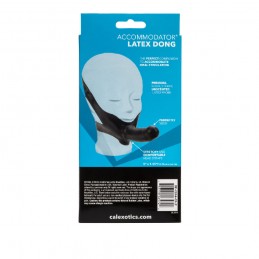 El original Accodator Latex...