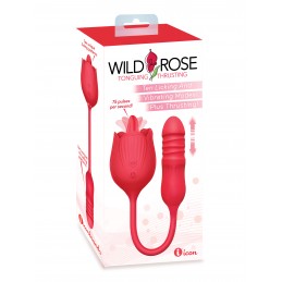 Rose sauvage en train de...