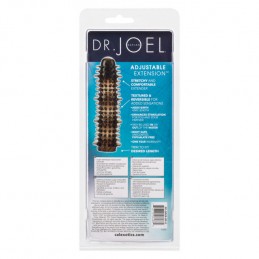 Dr. Joel Kaplan -...