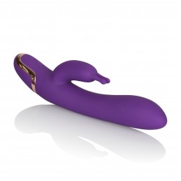 Entice Isabella - Morado