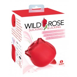 Rose sauvage suçant et...
