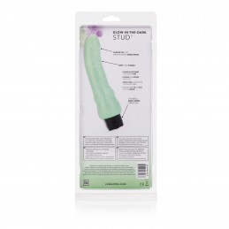 Waterproof Glow in the Dark...