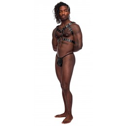 Gemini Leather Harness -...
