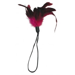 Pluma de placer - Rosa